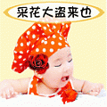 dceki 的头像